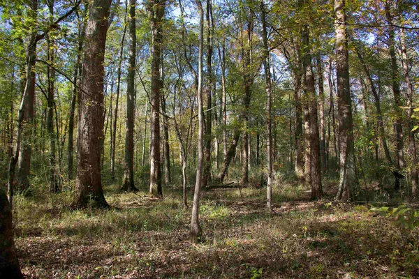 $293,236 | 1761 Cr-126 Road, Walnut, MS 38683