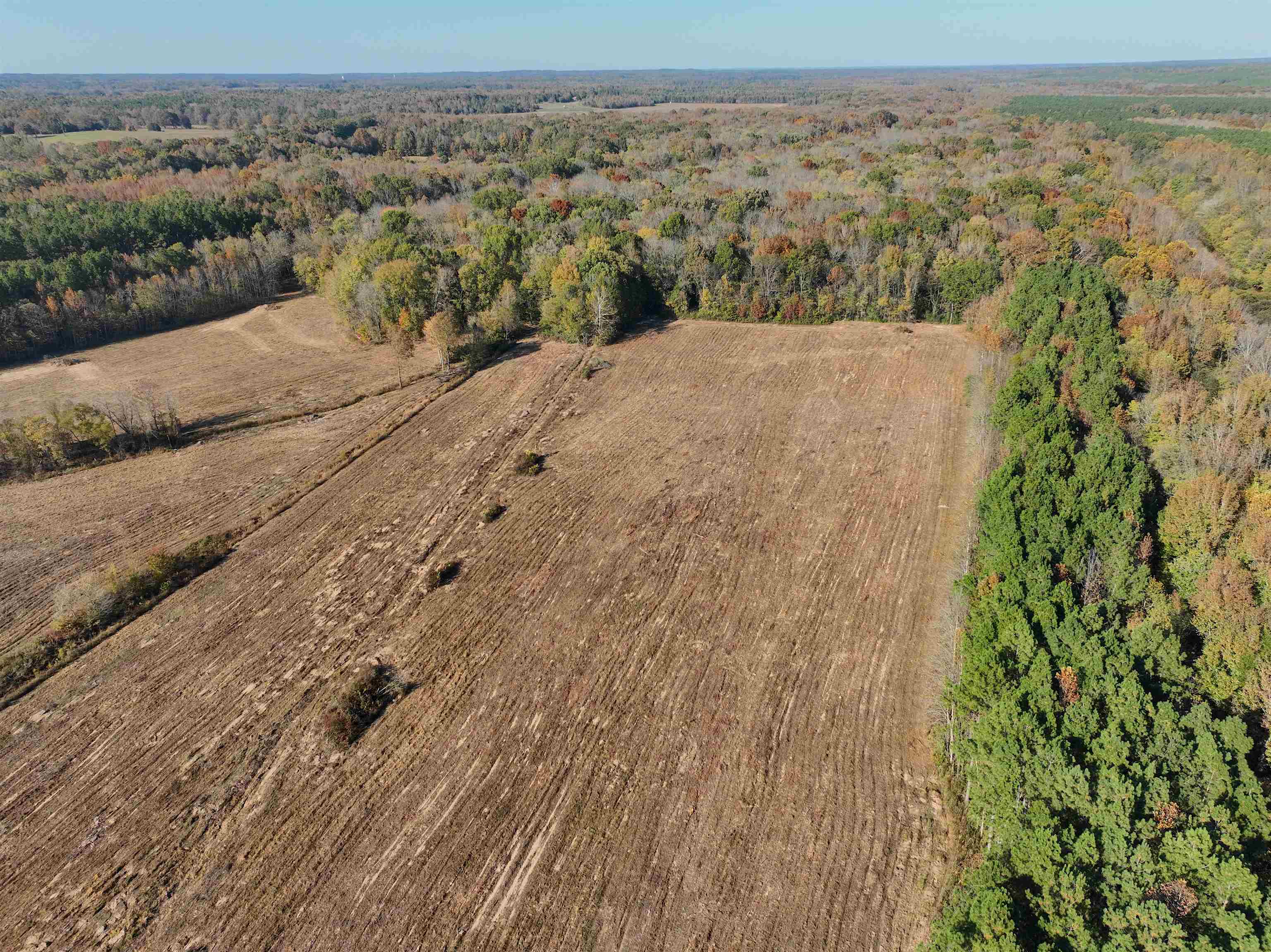 1761 Cr-126 Road Walnut, MS 38683 - Photo 27 of 32