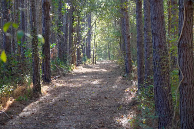 $221,049 | 1761 Cr-126 Road, Walnut, MS 38683