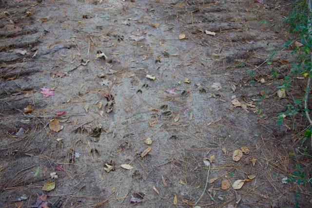 $221,049 | 1761 Cr-126 Road, Walnut, MS 38683