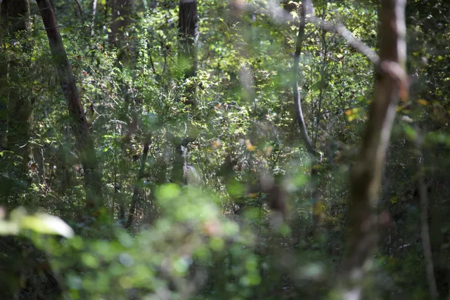 $221,049 | 1761 Cr-126 Road, Walnut, MS 38683