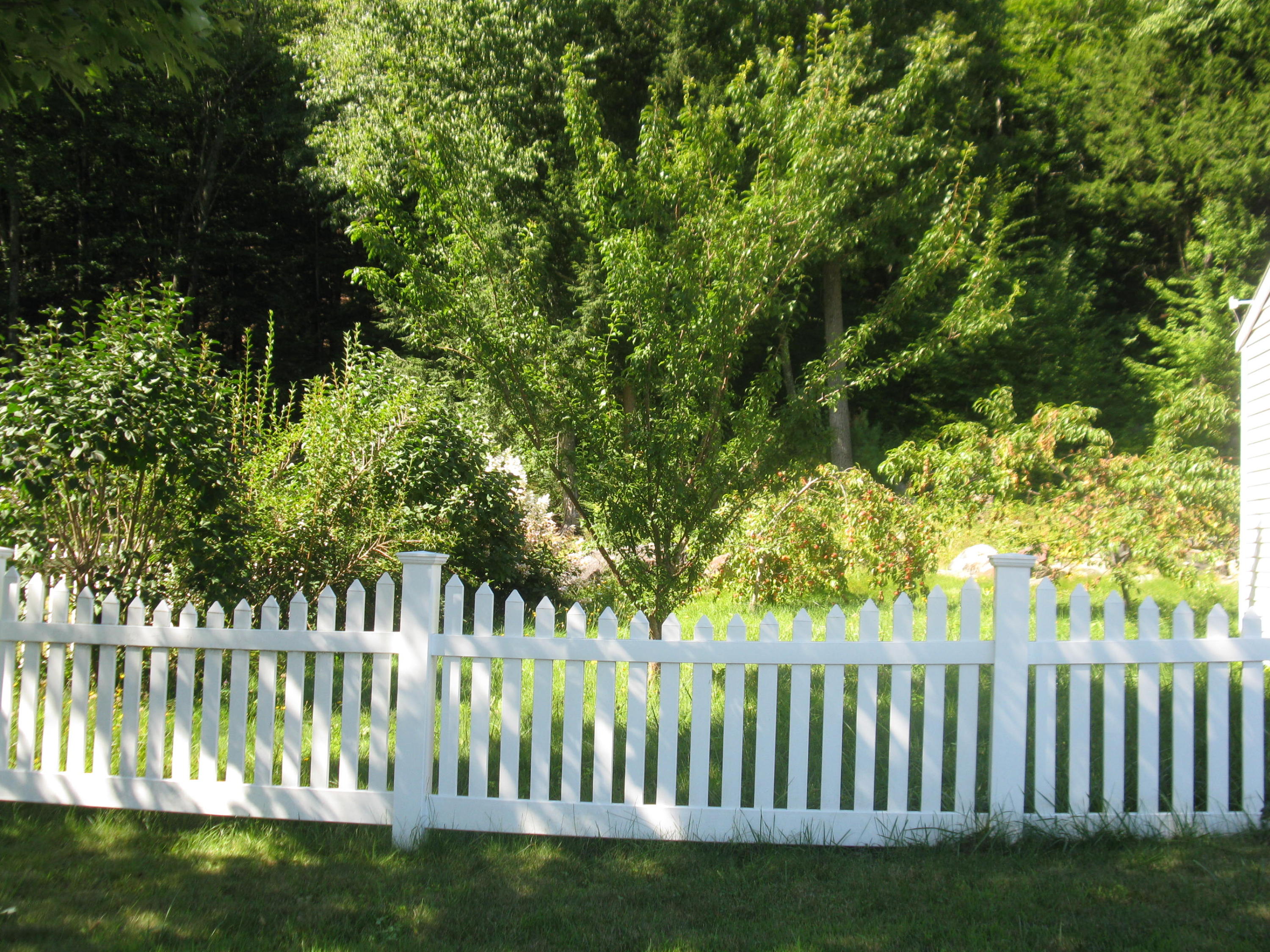 669 Main Street Springvale, ME 04083 - Photo 23 of 24 Beautifully landscaped yard