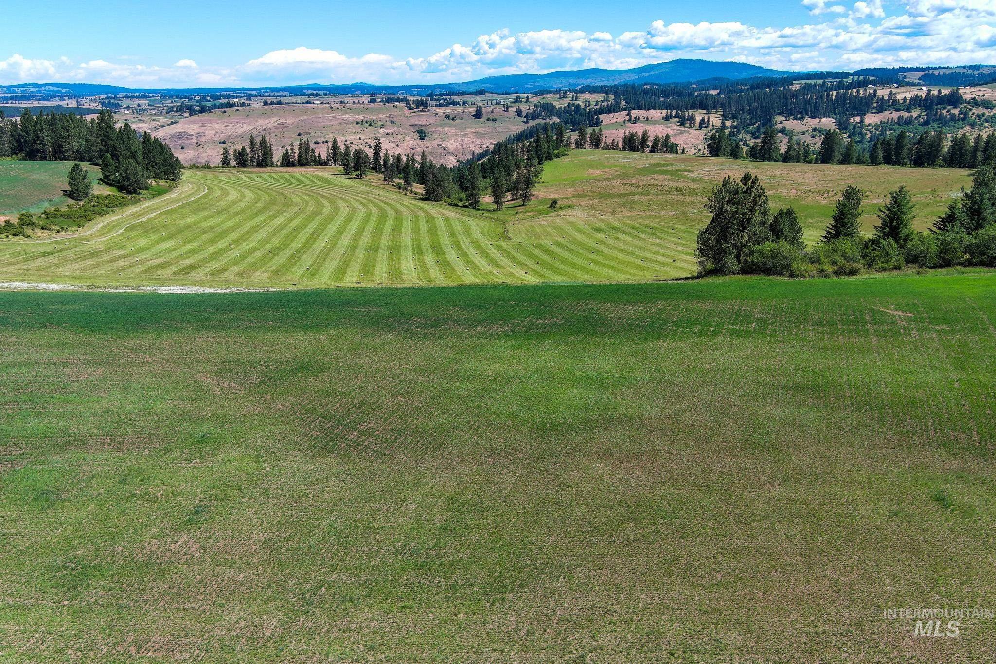 Tbd Battle Ridge Road Kooskia, ID 83539 - Photo 6 of 6