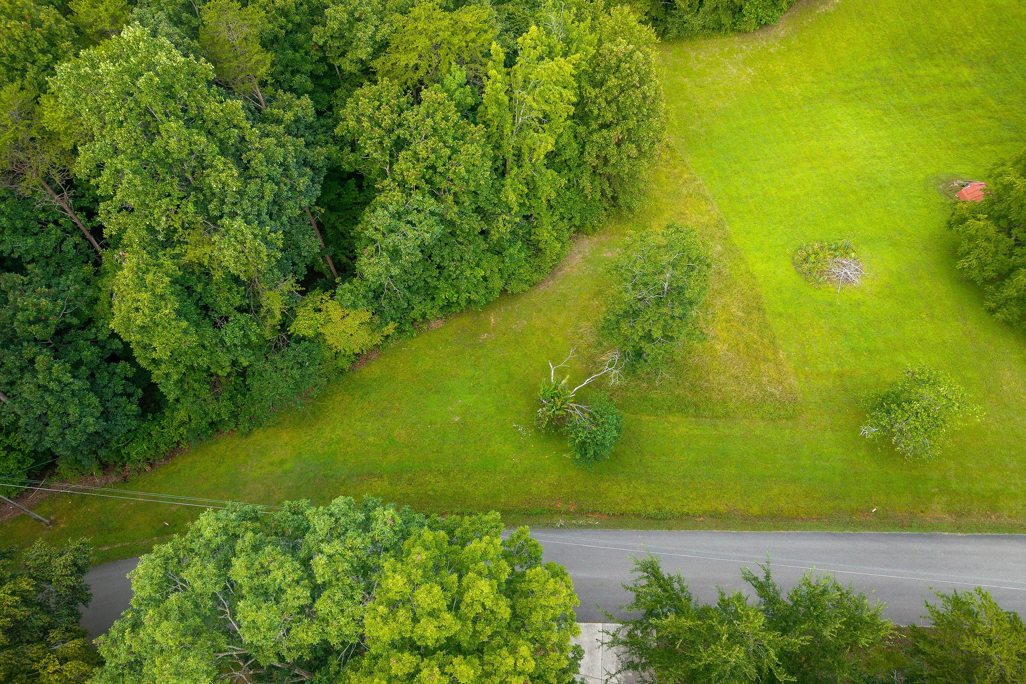 1149 Camp Overton Road Rock Island, TN 38581 - Photo 3 of 8