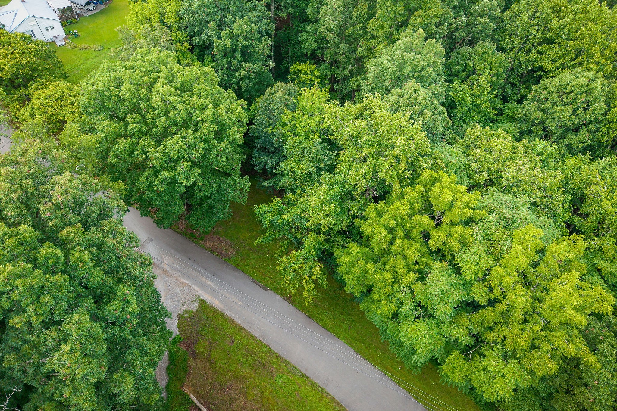 1149 Camp Overton Road Rock Island, TN 38581 - Photo 4 of 8