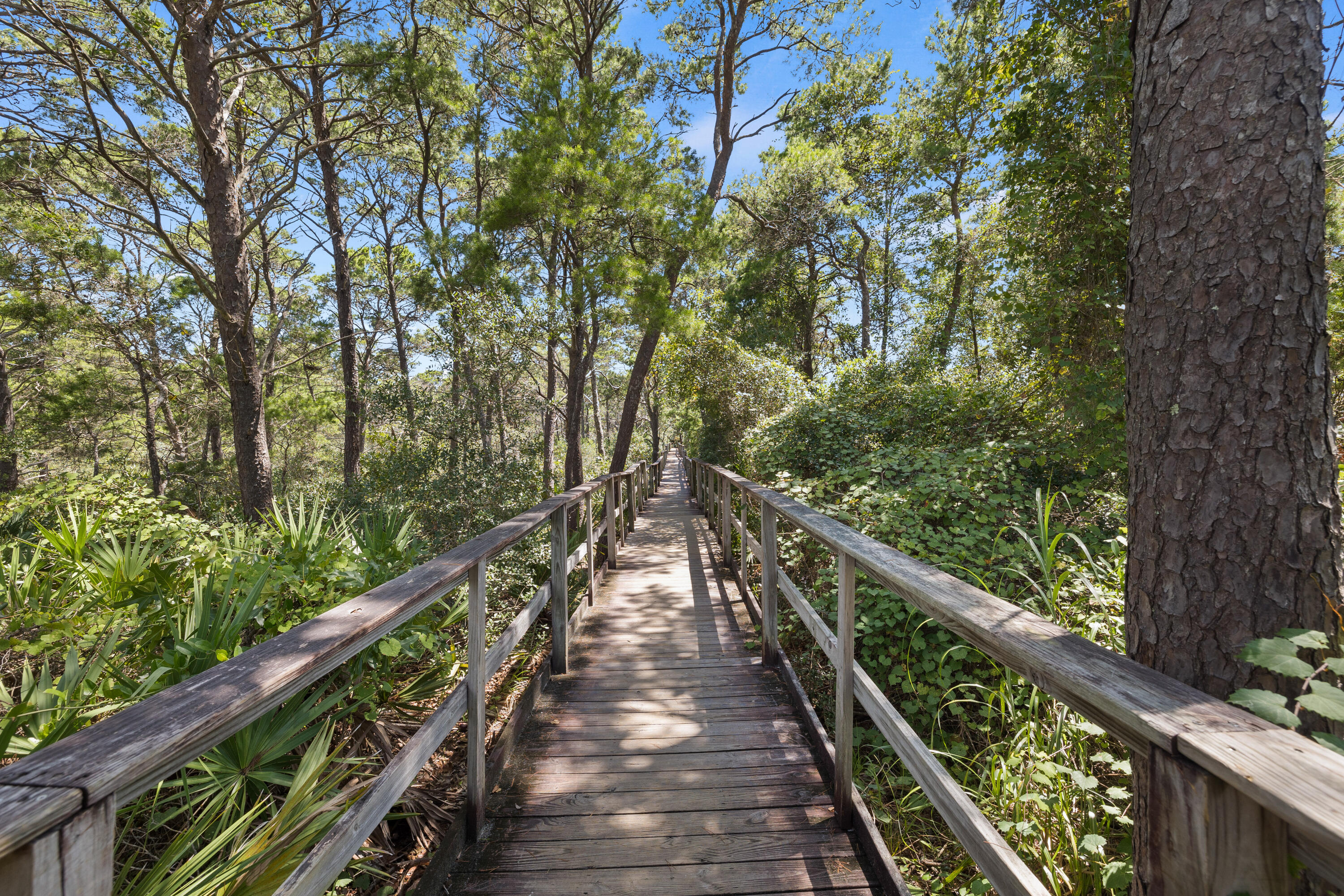 1732 West County Highway 30A, Unit 403R Santa Rosa Beach, FL 32459 - Photo 40 of 57 1732WCoHwy30A#403_ARRAY-63