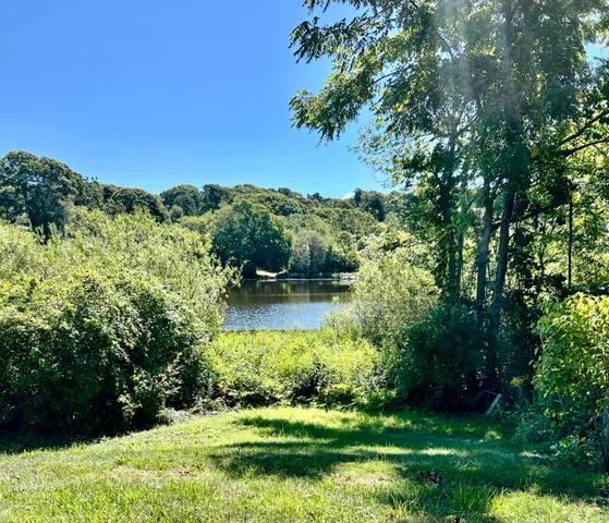 a view of a garden with a lake