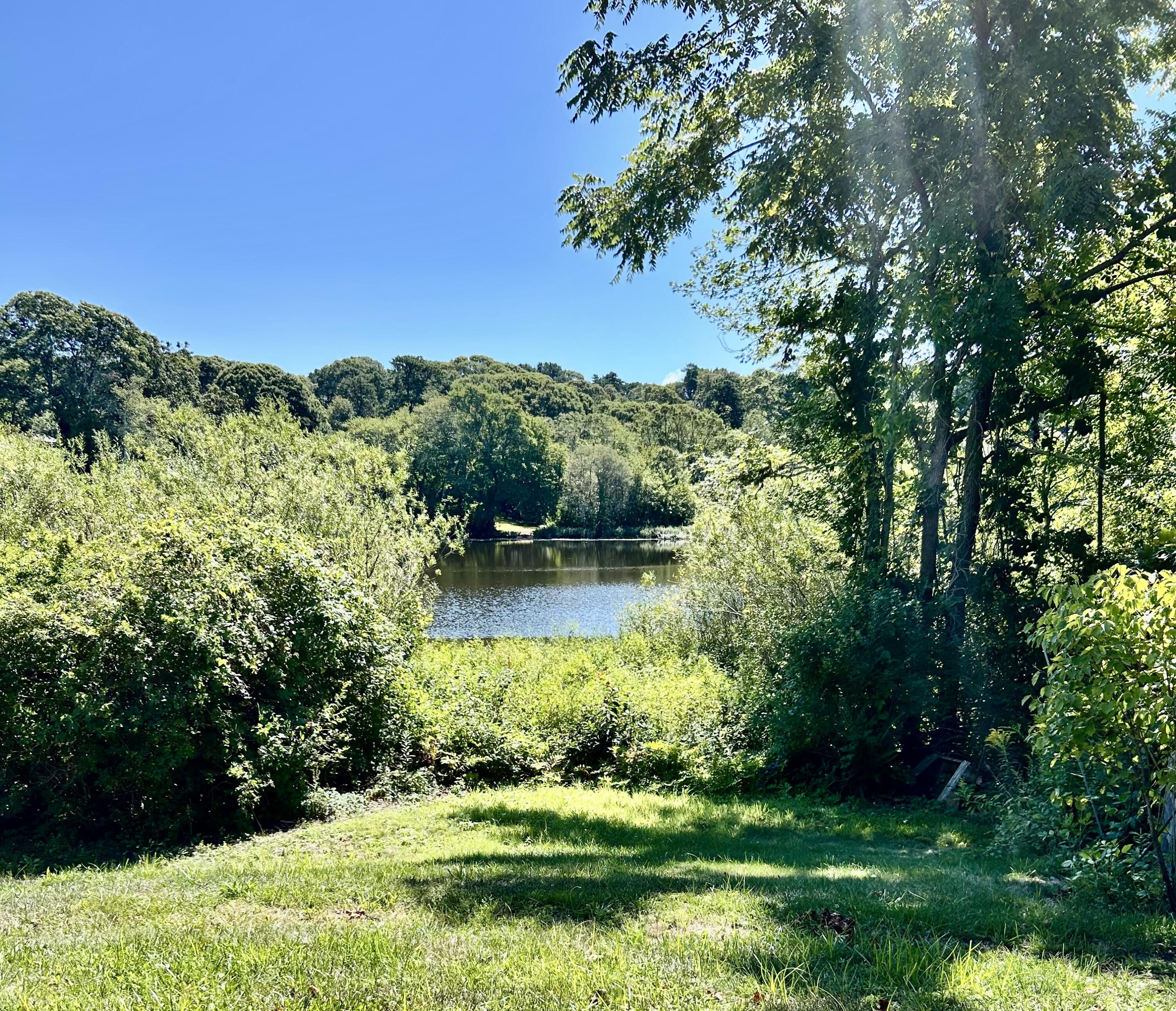 1580 Main Street Brewster, MA 02631 - Photo 3 of 20 a view of a garden with a lake