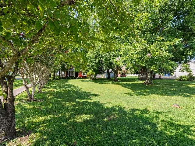a view of green field with trees in the background