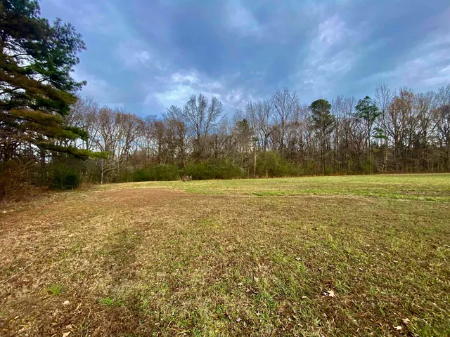 a view of a field with trees in background