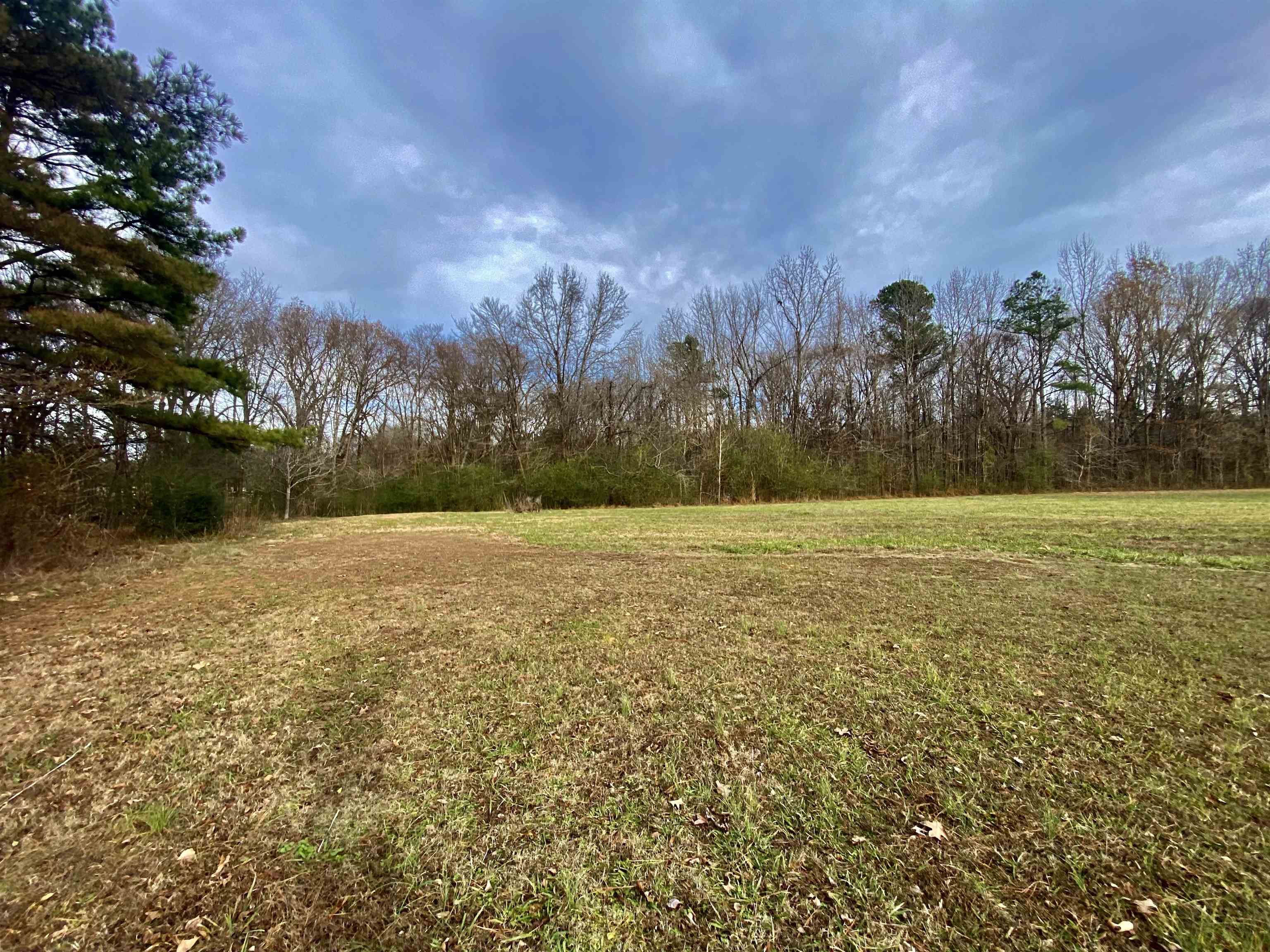 860 Allen Road Williston, TN 38076 - Photo 11 of 13 a view of outdoor space with mountain view