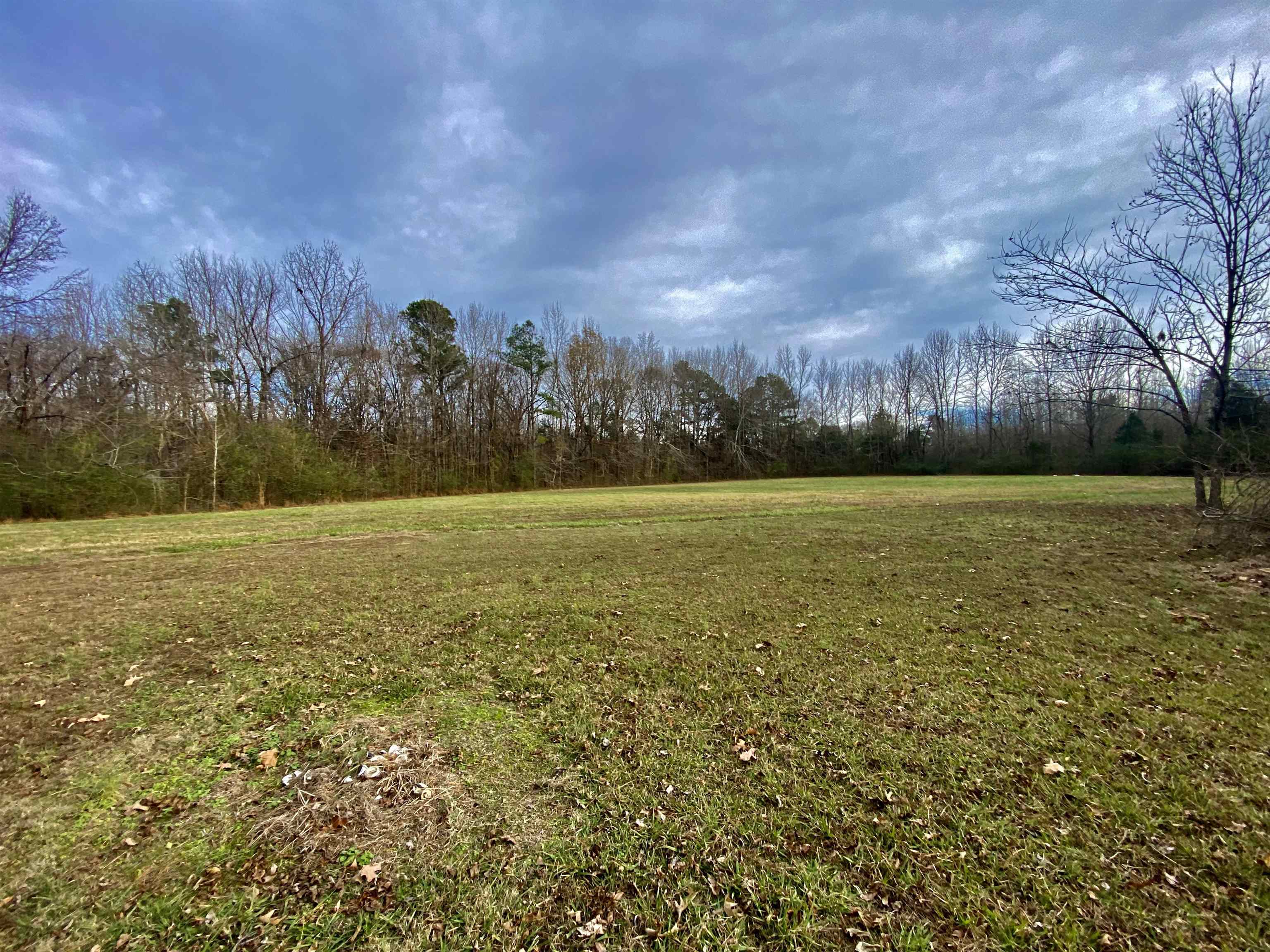 860 Allen Road Williston, TN 38076 - Photo 12 of 13 a view of a field with trees in background
