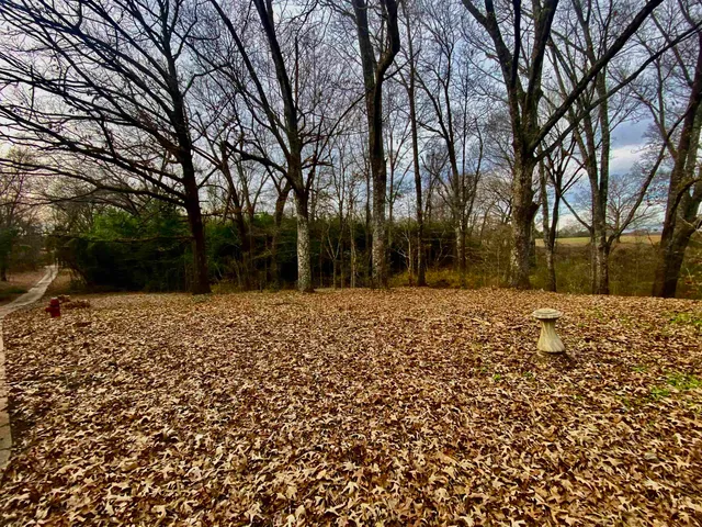 a backyard of a house with large trees
