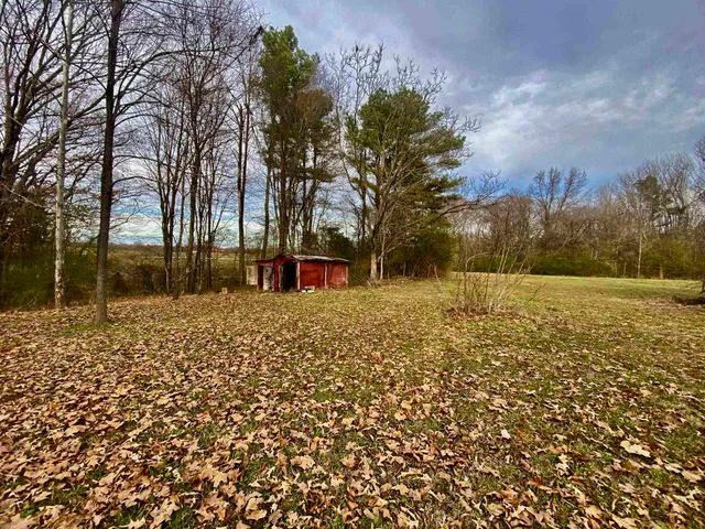 a view of outdoor space with garden
