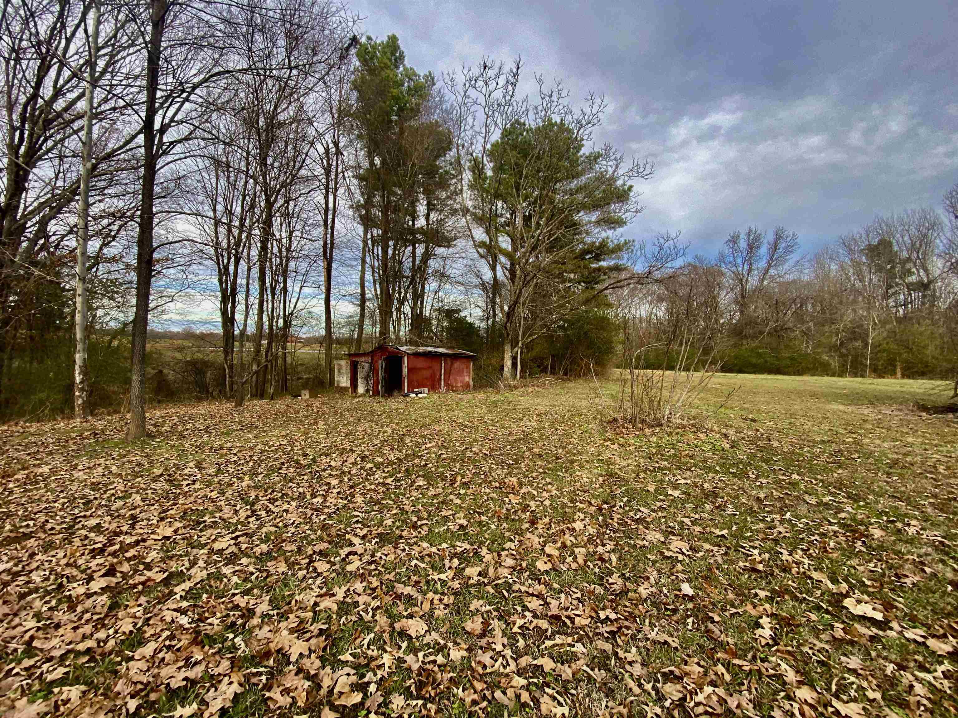 860 Allen Road Williston, TN 38076 - Photo 6 of 13 a view of outdoor space with garden