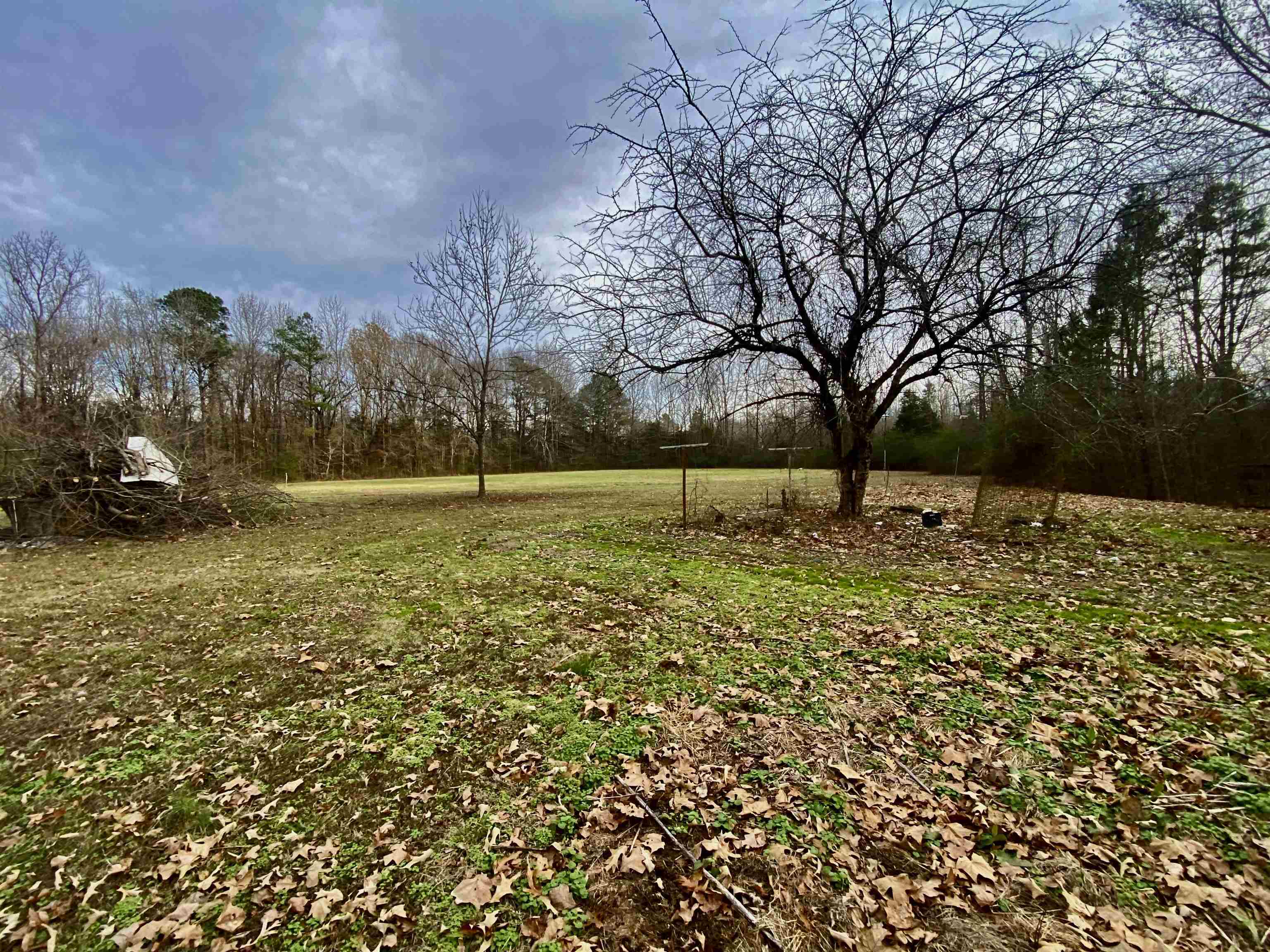 860 Allen Road Williston, TN 38076 - Photo 7 of 13