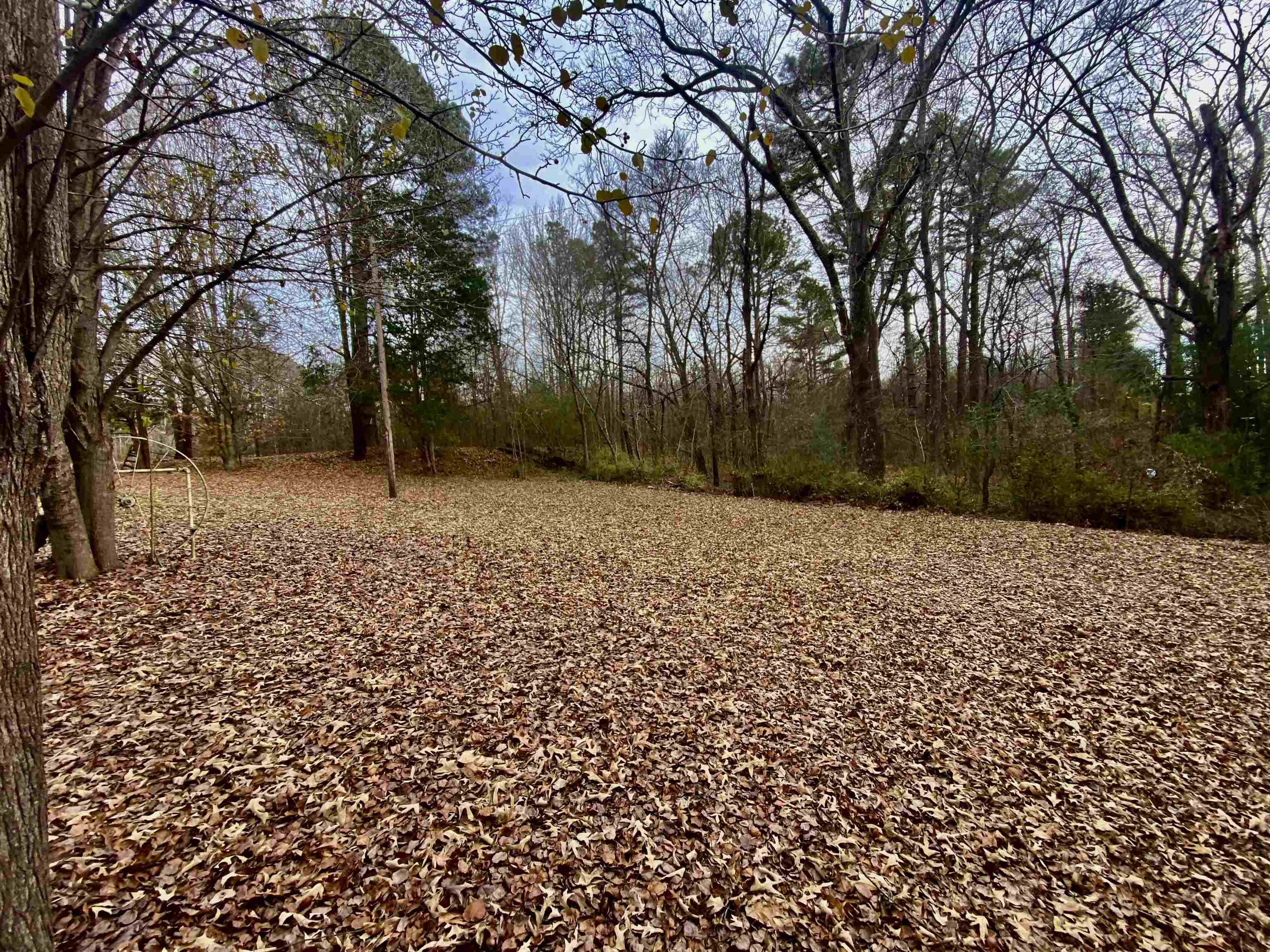 860 Allen Road Williston, TN 38076 - Photo 10 of 13 a backyard of a house with lots of green space