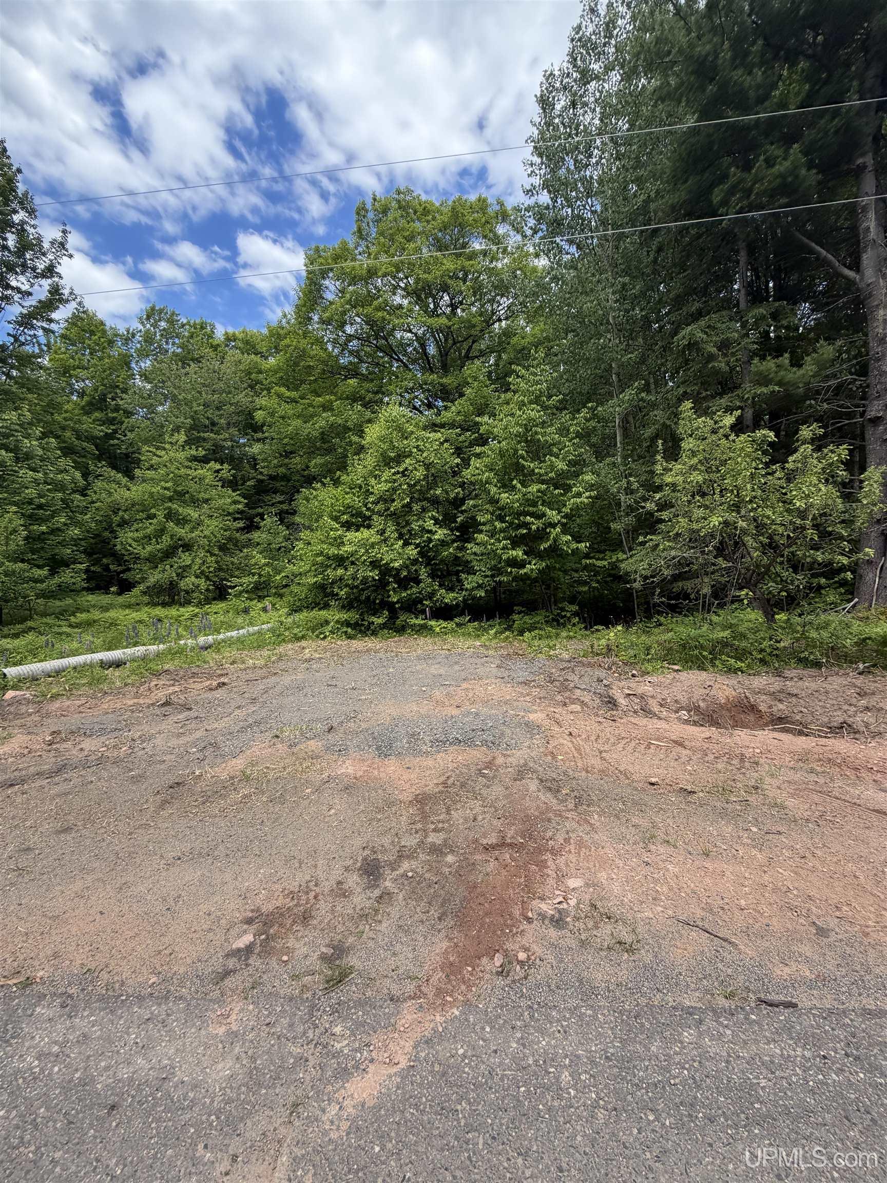 Tbd20 Skanee Road Skanee, MI 49962 - Photo 9 of 26