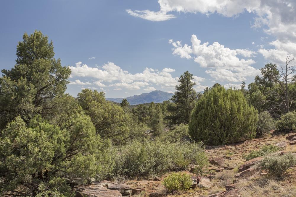 1200 West Airport Road Payson, AZ 85541 - Photo 25 of 50