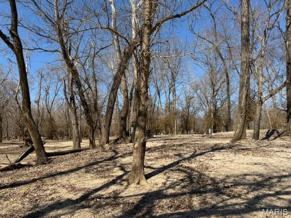 $77,900 | Lot 39 Current River, Van Buren, MO 63965
