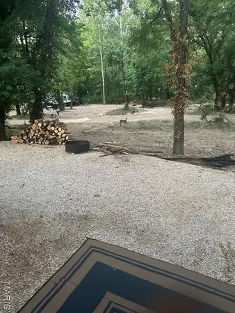 $77,900 | Lot 39 Current River, Van Buren, MO 63965