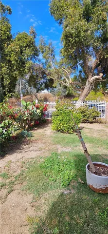 a view of a yard with plants