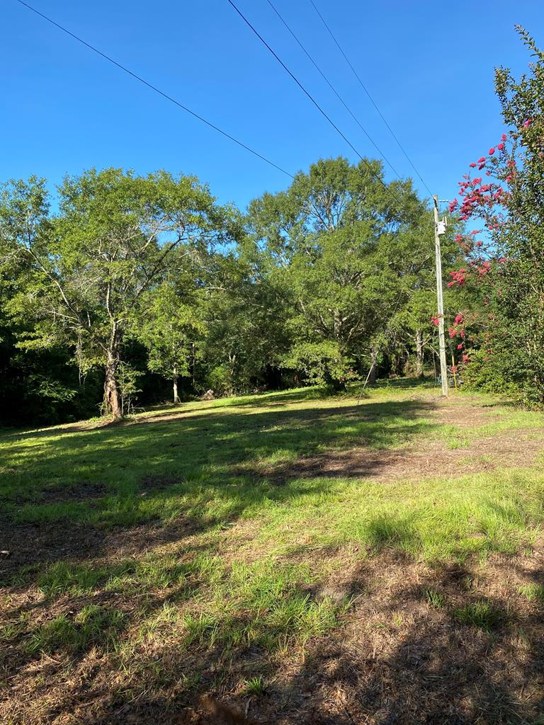 187 Leetown Road Lumberton, MS 39455 - Photo 1 of 1 Gallery Image 1