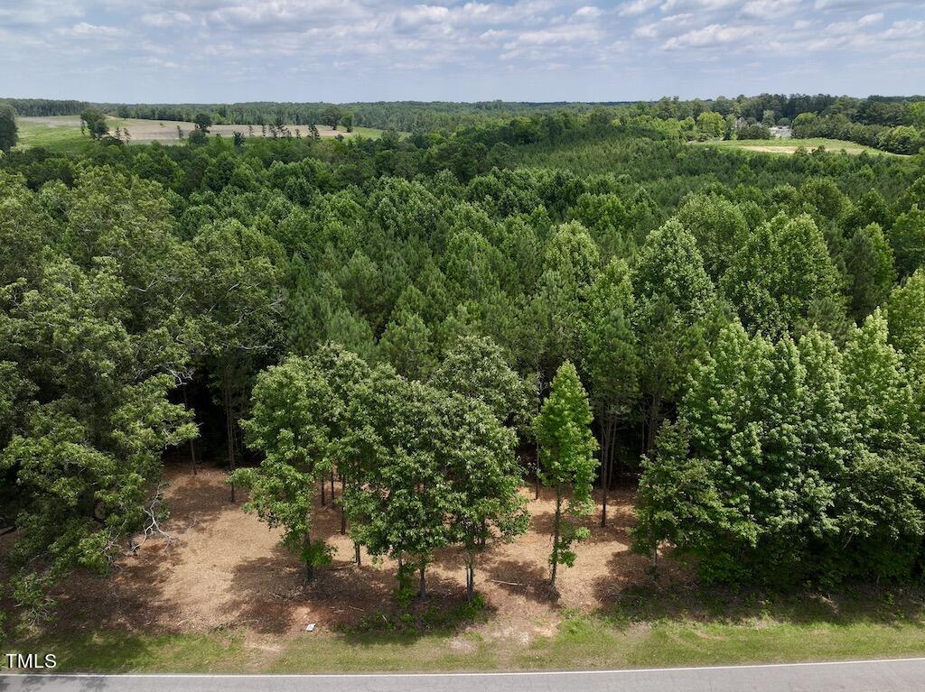 8 Peachtree Hills Road Spring Hope, NC 27882 - Photo 14 of 29 14