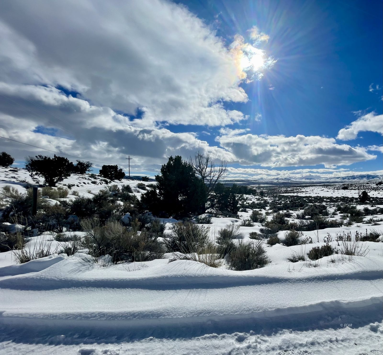 Grant Ave Spring Creek Spring Creek, NV 89815 - Photo 2 of 6