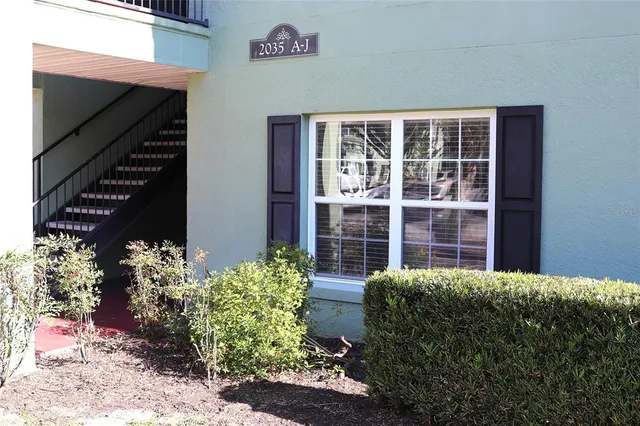 a view of a backyard