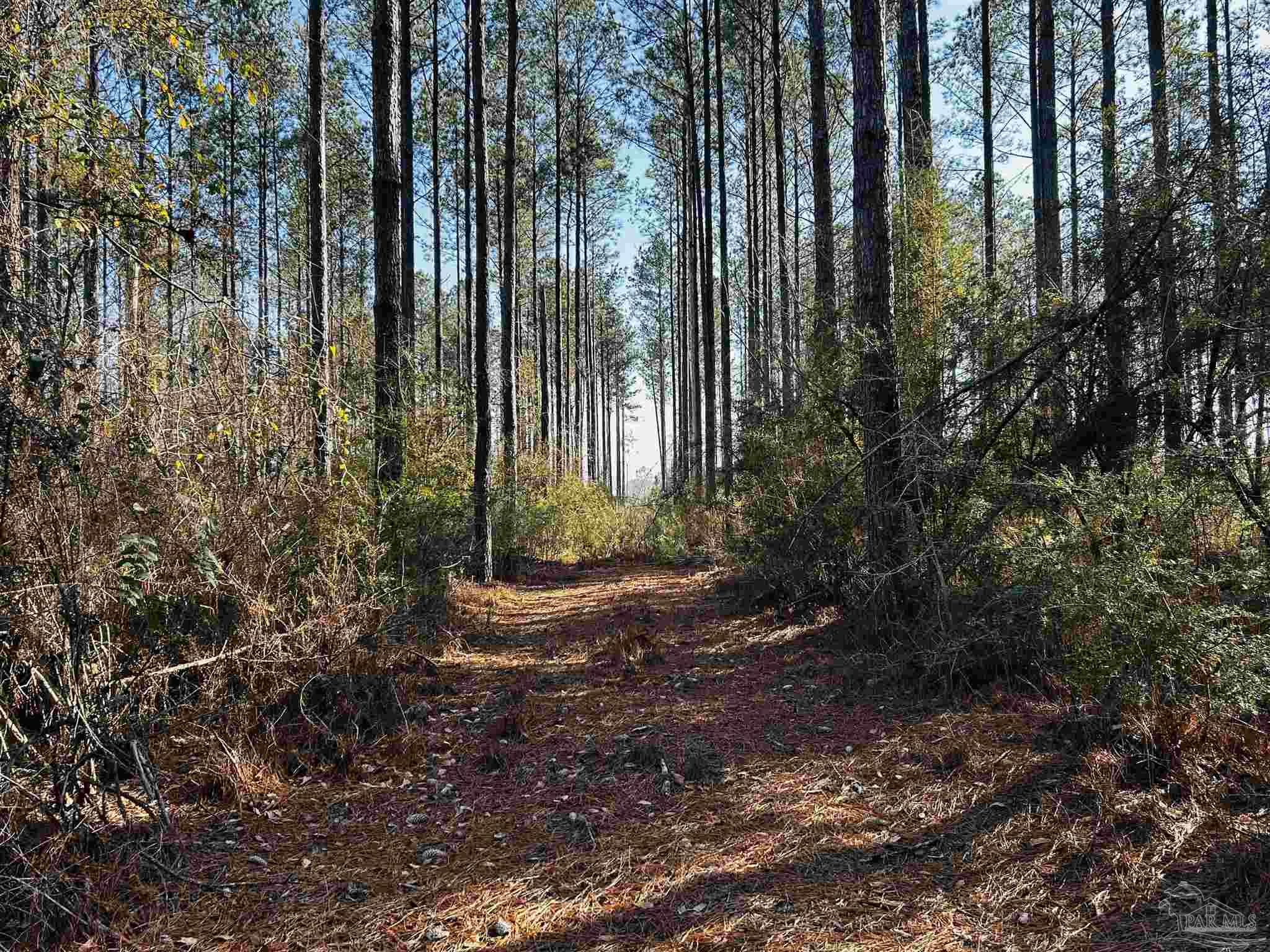 Lot 406 Country Mill Road Jay, FL 32565 - Photo 7 of 10