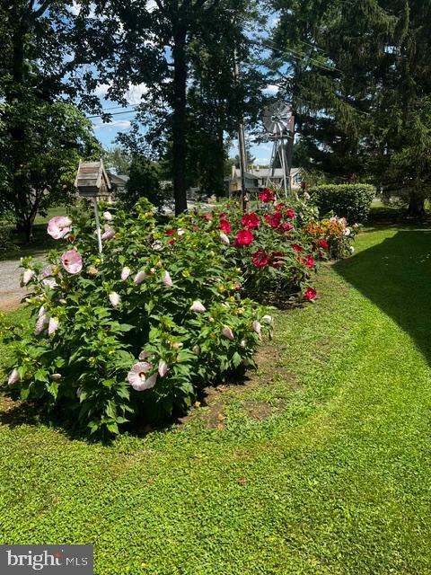 10695 Harding Road Laurel, MD 20723 - Photo 3 of 46 Beautiful flowers and plants throughout the yard!