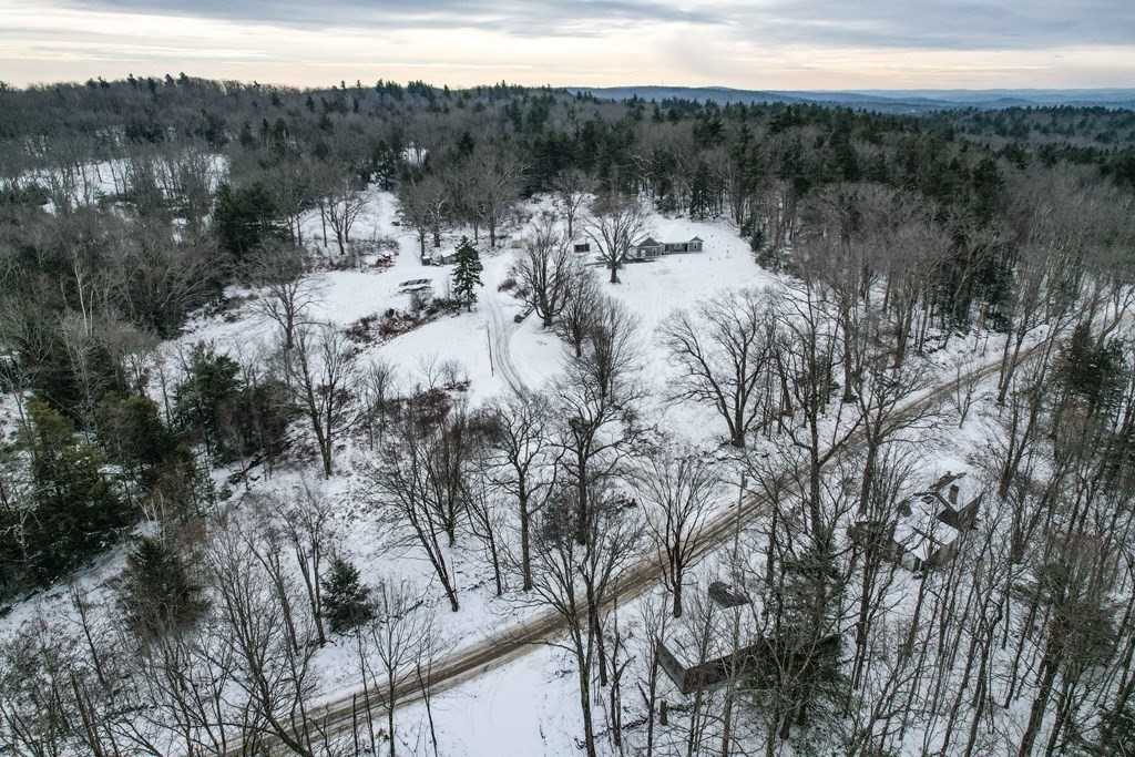 261 Old Chesterfield Road Chesterfield, MA 01096 - Photo 5 of 37 a view of a forest with a tree