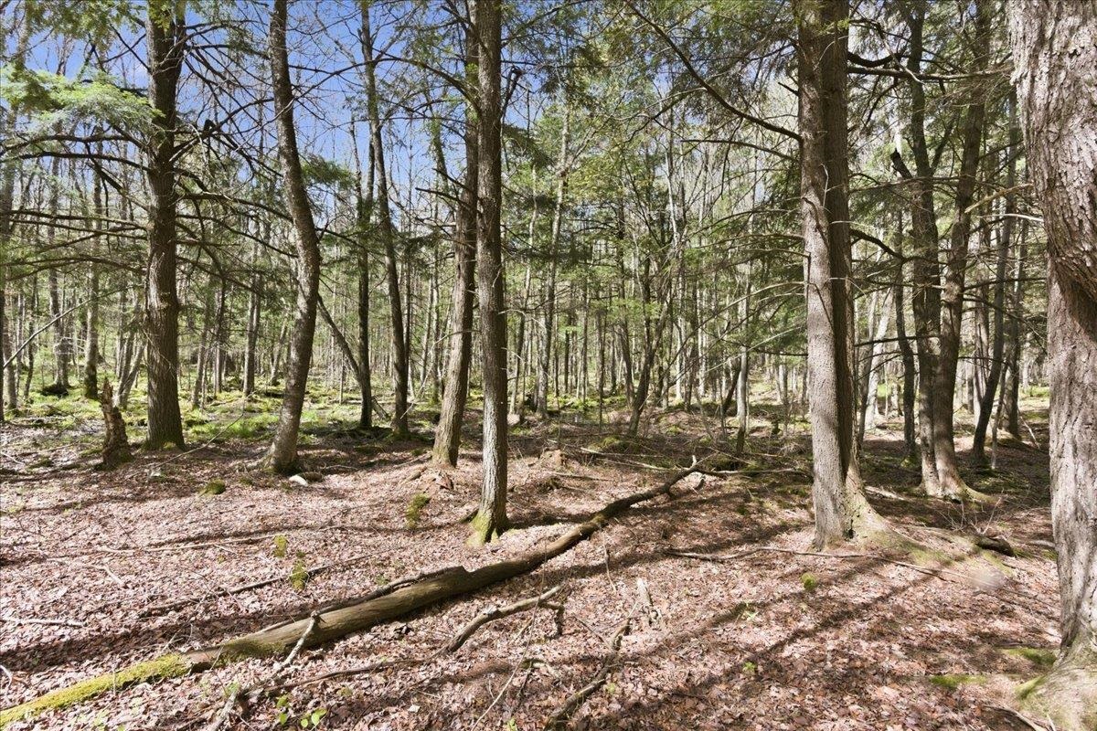W585 Strucker Road Ogema, WI 54459 - Photo 22 of 55