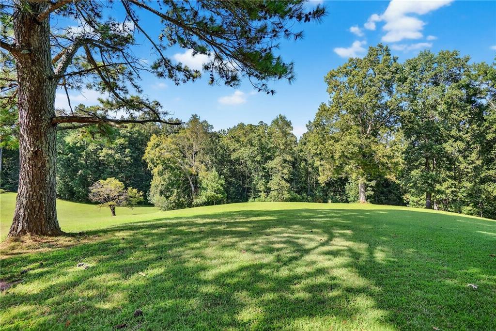 4621 Stanley Road Flowery Branch, GA 30542 - Photo 60 of 65 a big yard with lots of green space and plants