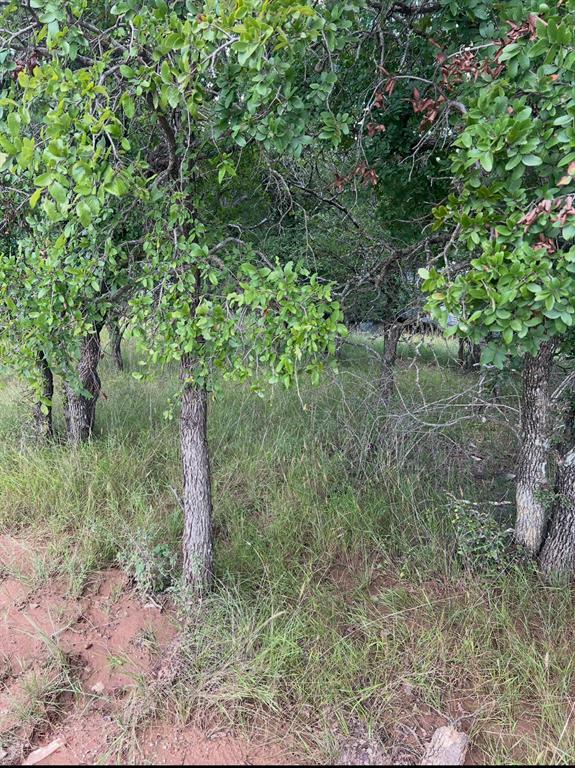 Lot 940 Oak Point Drive May, TX 76857 - Photo 2 of 4 a plant of lots of trees