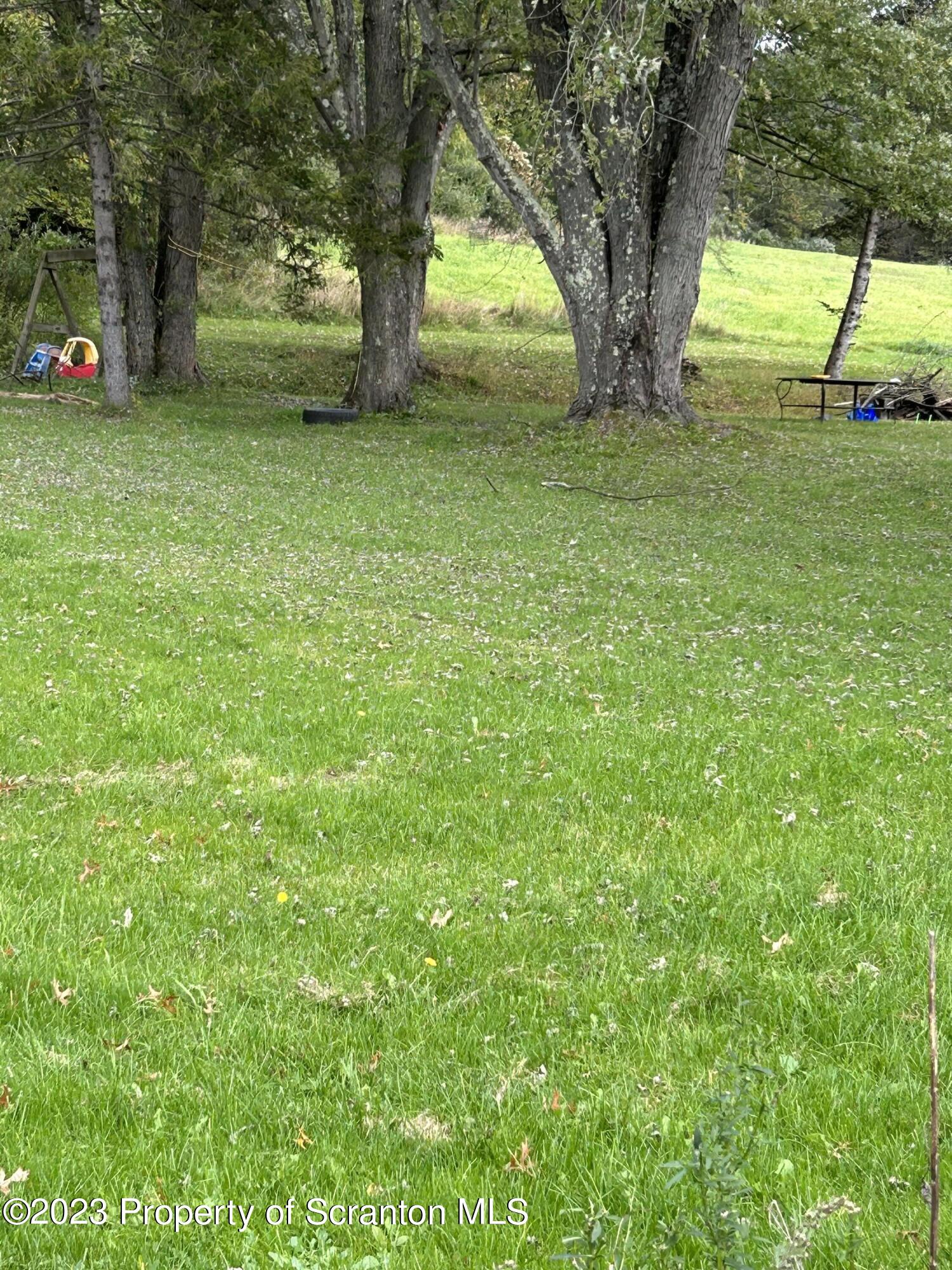 IMG-0040