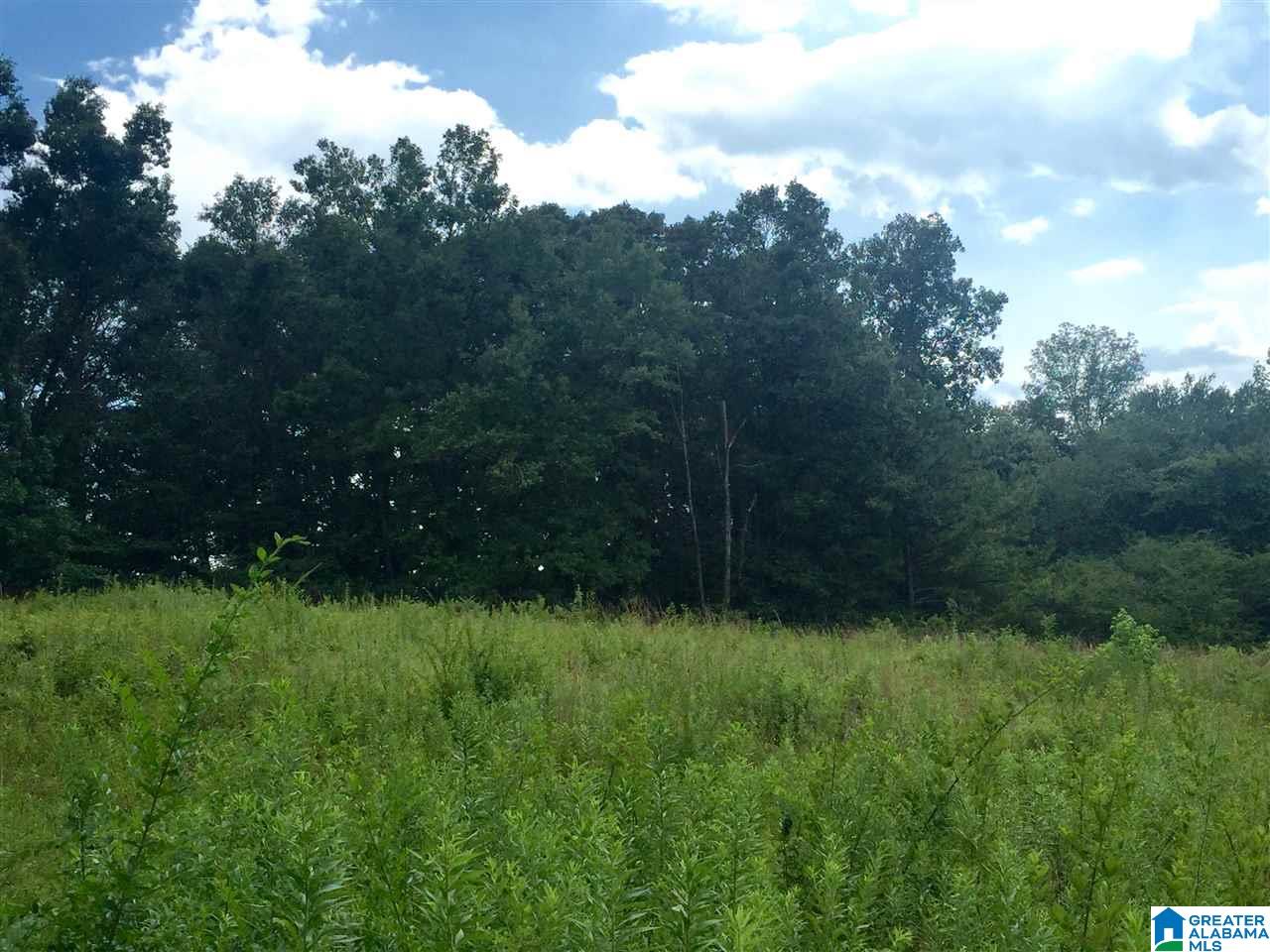 29 County Road, Unit 10 91 Wedowee, AL 36278 - Photo 2 of 3