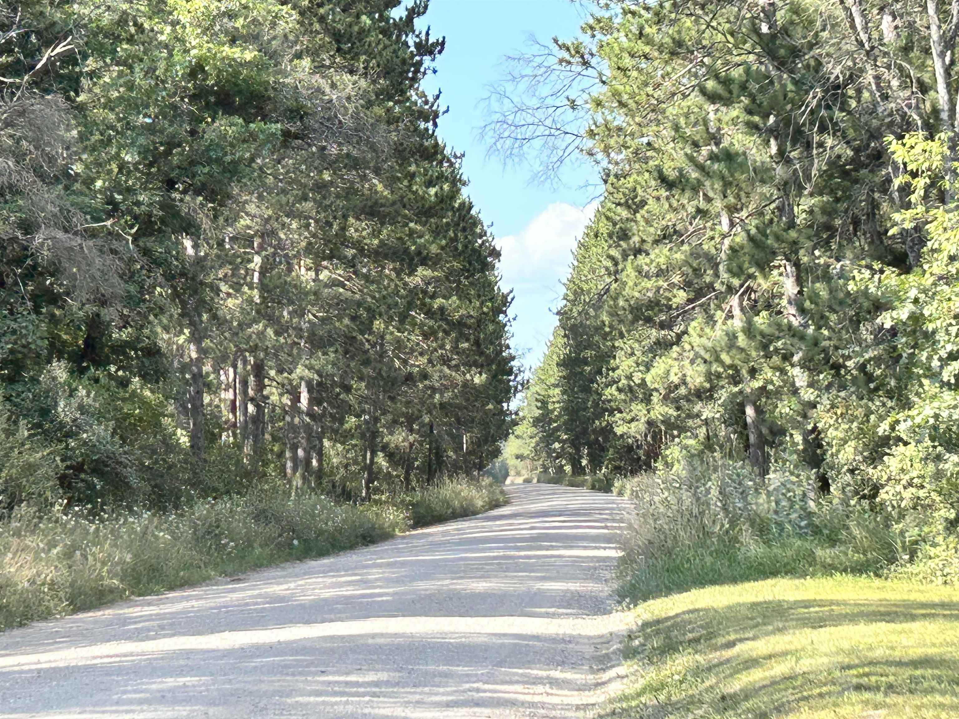 2514 Brodie Road South Branch, MI 48761 - Photo 30 of 31 1926095-d6a08397-07f3-490c-9698-5c6203c879d6.JPG