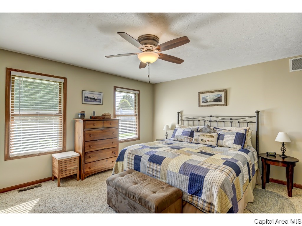 208 Appomattox Drive Springfield, IL 62711 - Photo 17 of 28