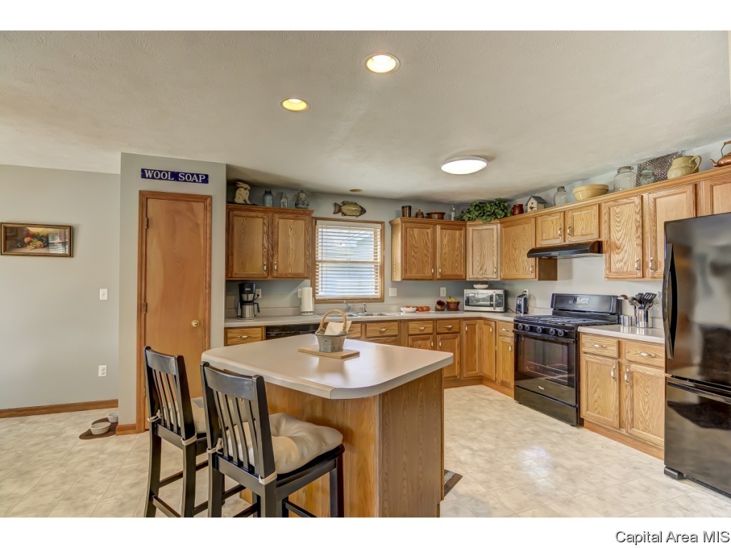 208 Appomattox Drive Springfield, IL 62711 - Photo 6 of 28