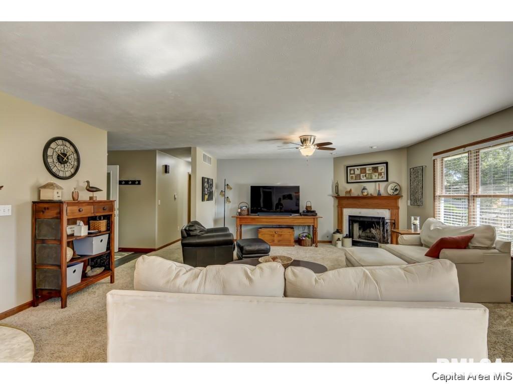 208 Appomattox Drive Springfield, IL 62711 - Photo 8 of 28