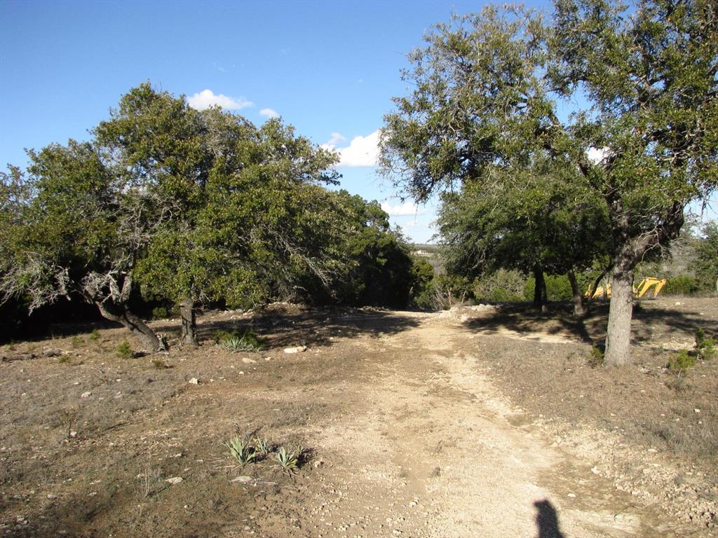 675 Fossil Rdg Court Evant, TX 76525 - Photo 11 of 26 a view of a yard with a tree