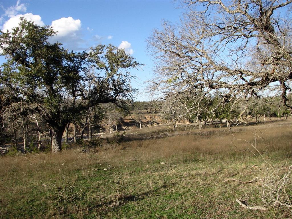 675 Fossil Rdg Court Evant, TX 76525 - Photo 12 of 26 a view of lake view