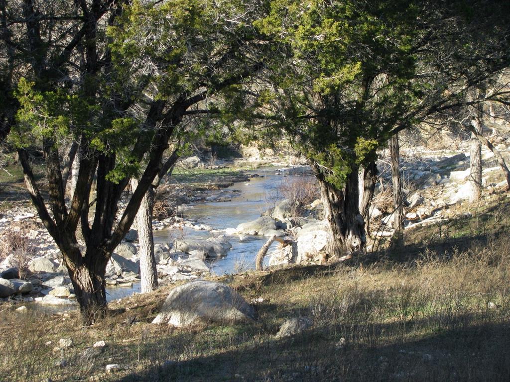 675 Fossil Rdg Court Evant, TX 76525 - Photo 13 of 26 a view of a yard with a tree