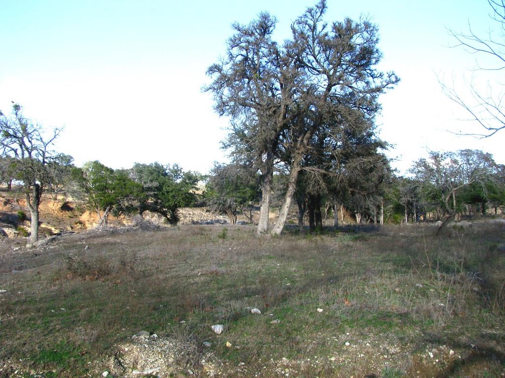 675 Fossil Rdg Court Evant, TX 76525 - Photo 18 of 26 a view of dirt field with trees
