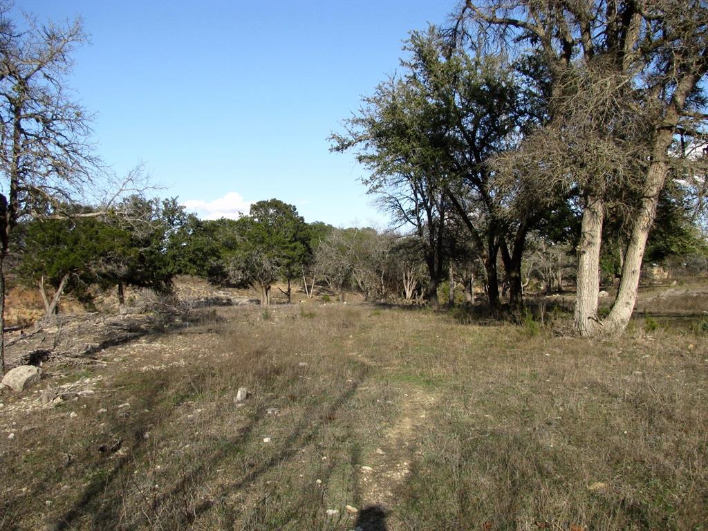 675 Fossil Rdg Court Evant, TX 76525 - Photo 19 of 26 a view of a forest with trees in the background