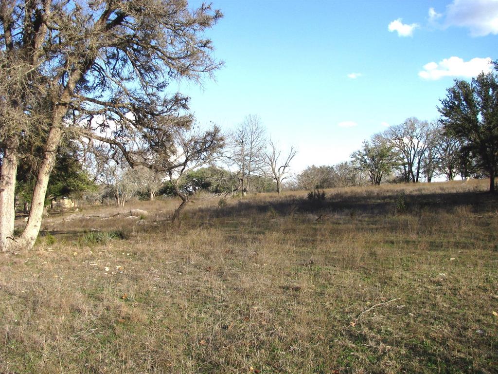 675 Fossil Rdg Court Evant, TX 76525 - Photo 20 of 26 a view of lake with tree