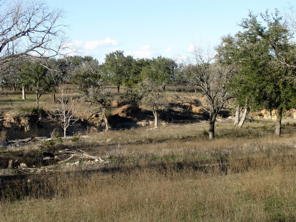 675 Fossil Rdg Court Evant, TX 76525 - Photo 22 of 26 a view of a lake view