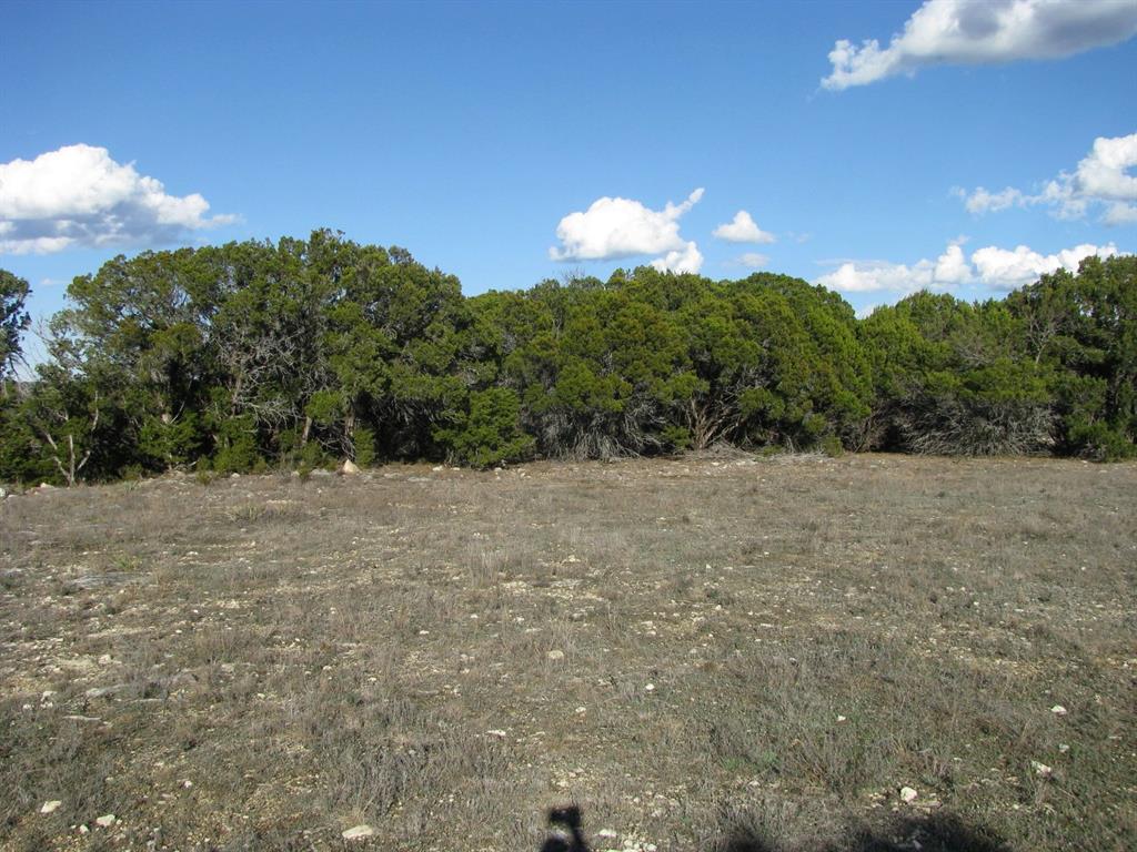 675 Fossil Rdg Court Evant, TX 76525 - Photo 5 of 26 a view of a green yard
